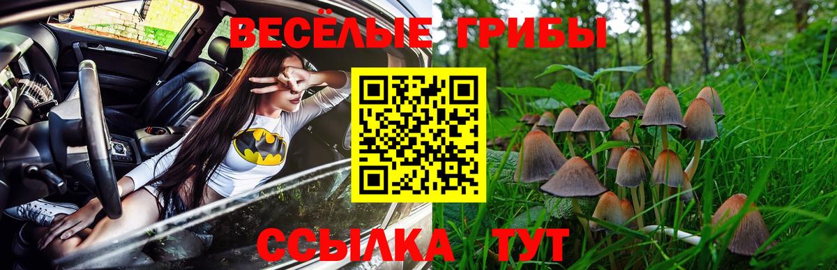 Реутов  Псилоцибиновые грибы Psilocybine cubensis  Вход с VPN 