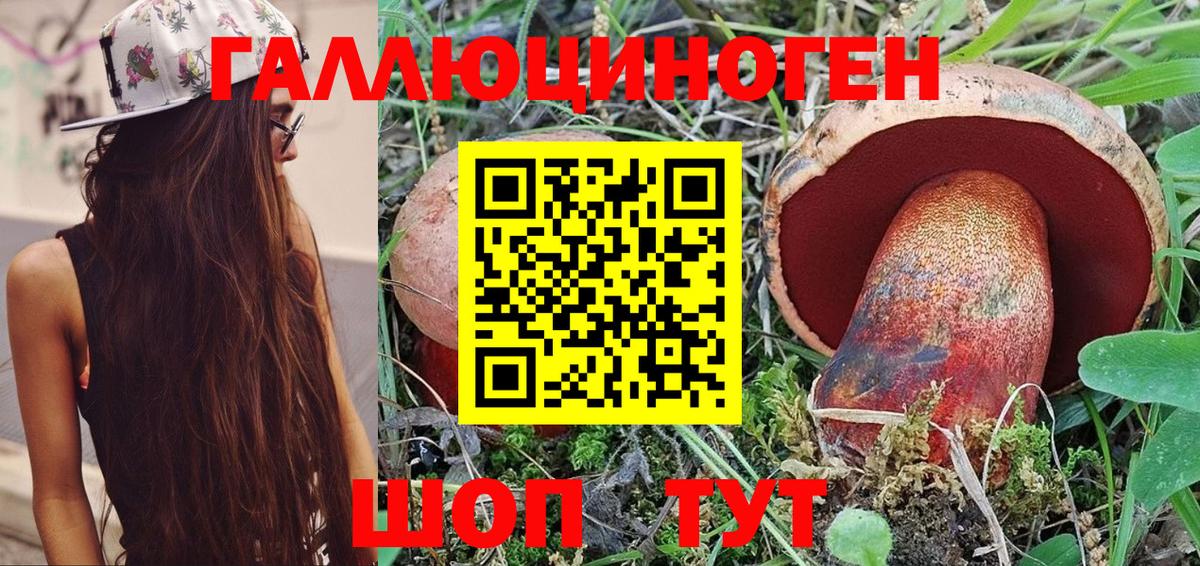 Галлюциногенные грибы Cubensis Реутов